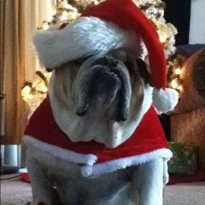 Meet your Posher, Greg